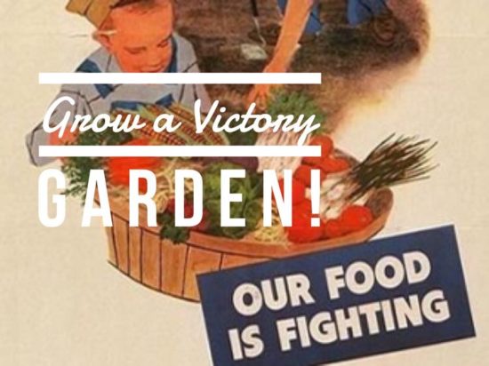 how to grow a victory garden