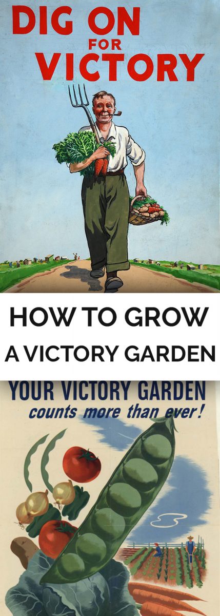 how to grow a victory garden